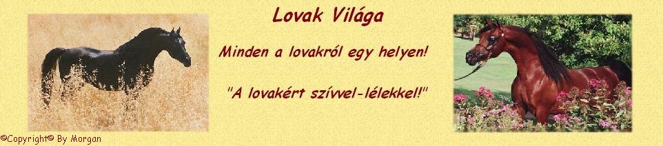 ©Lovak Vilga©